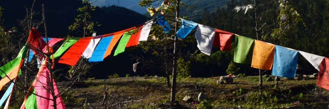 TANG（恩师峰挖财奶）'s banner