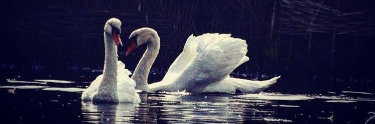 𝓙𝓮𝓷𝓷𝔂 _☯️'s banner