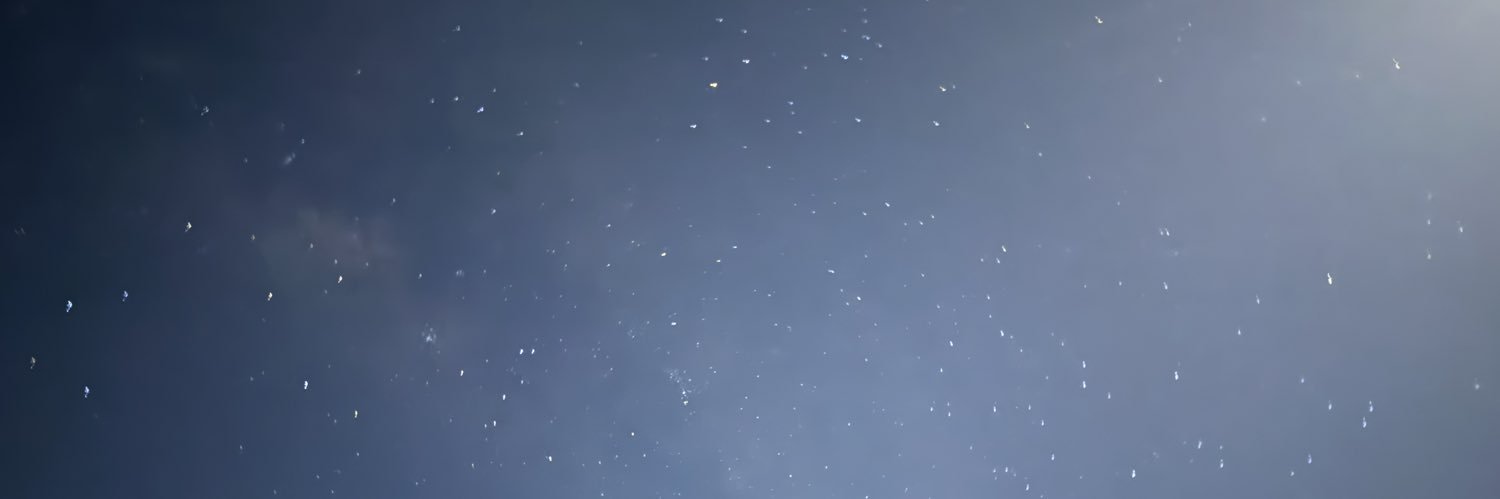 Rashwan's banner