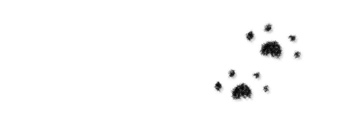 liili_cookie's banner