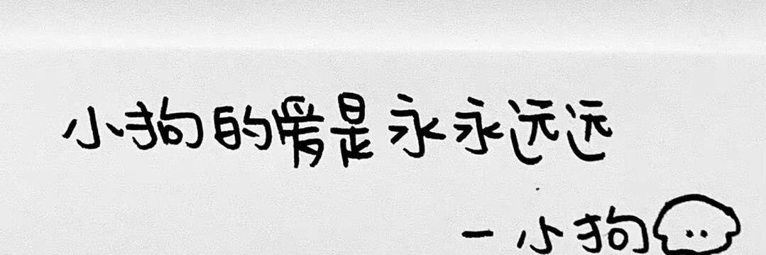 春卷馒头's banner