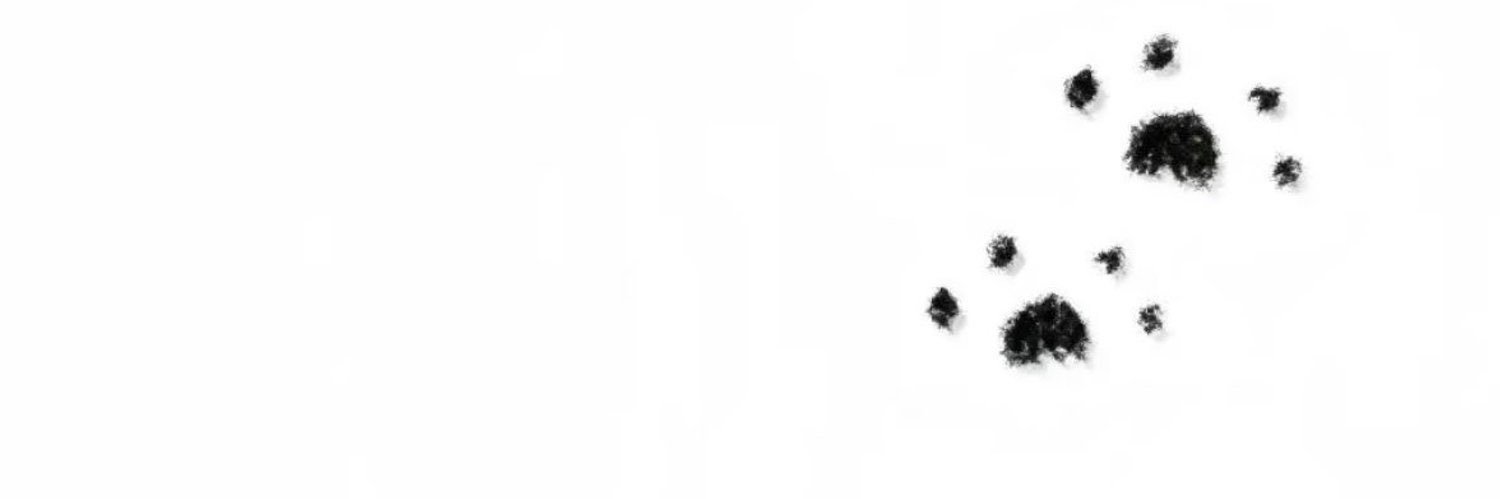 𝑪𝒊𝒅𝒆𝒓's banner
