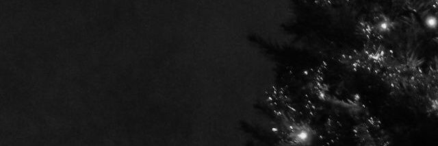MİA's banner