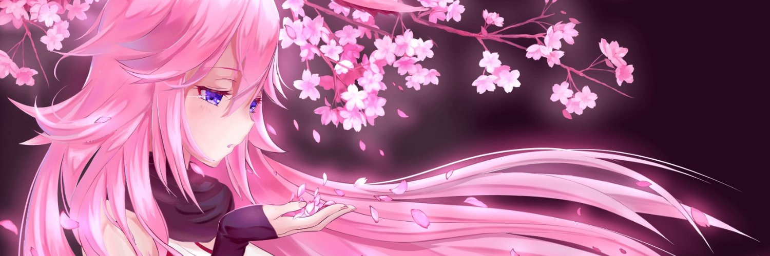 emi's banner