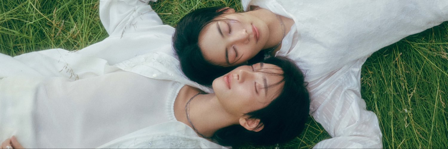 lala ˚˖𓍢ִ໋🦢˚ | svt x atz fic📌's banner