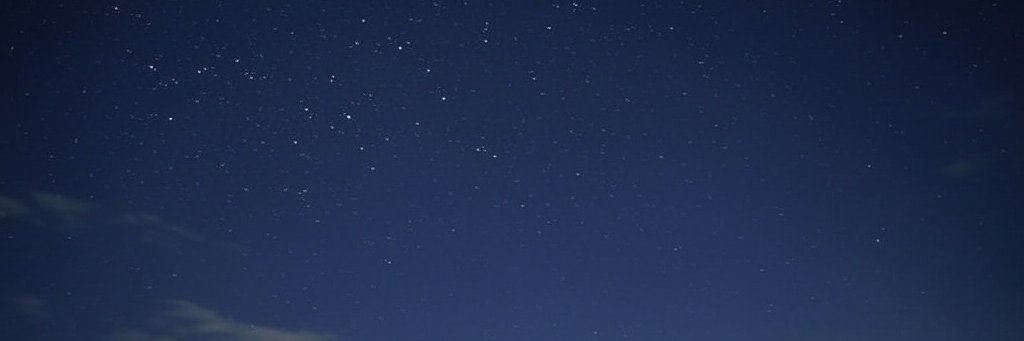 Neko Nights's banner