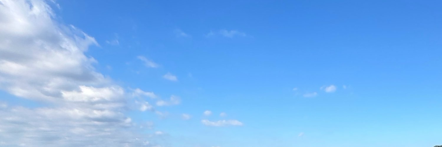 バツ's banner