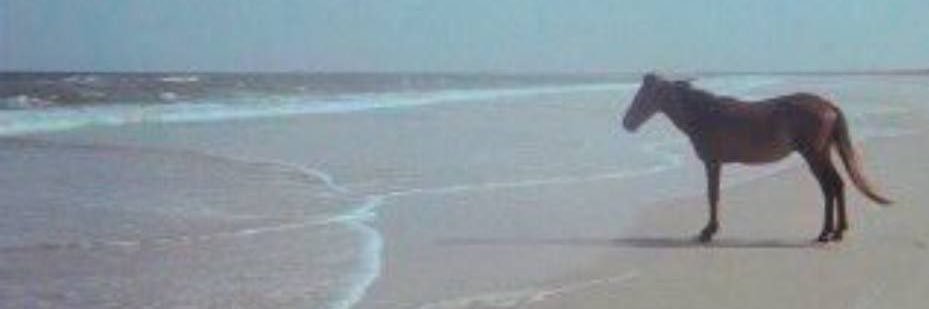 kwaad💔's banner