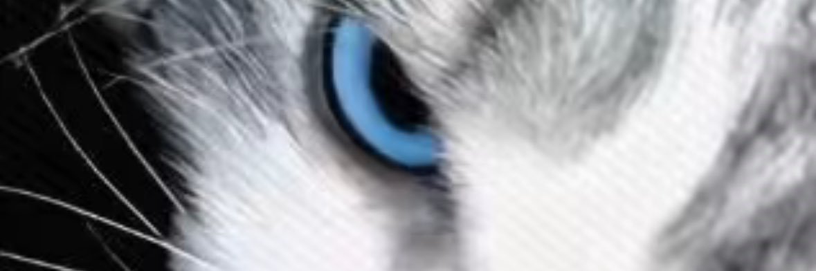 小咩麻^门134's banner