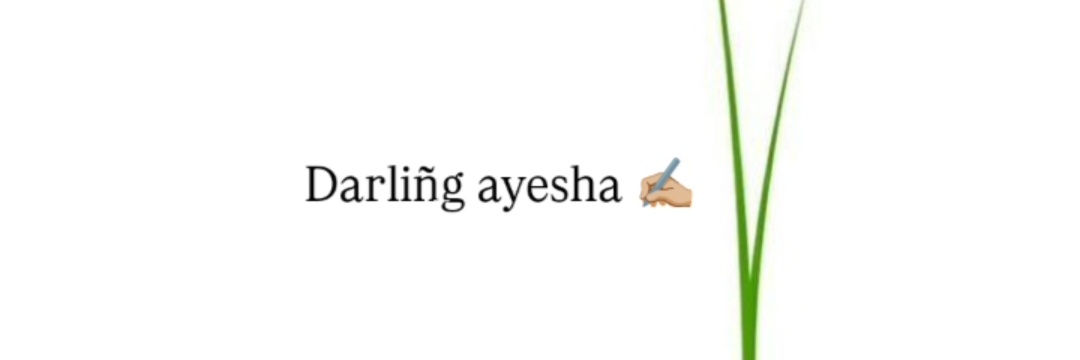 @Ayesha.ke.lafz's banner