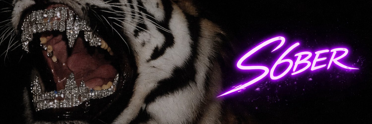 S6BER's banner
