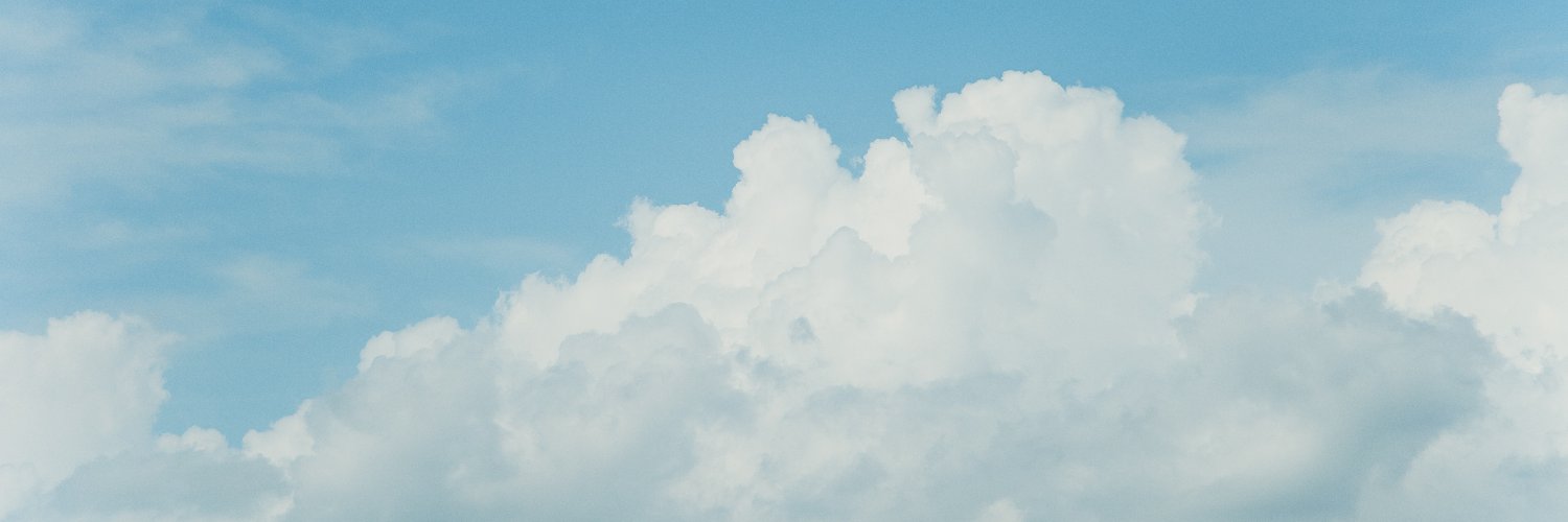 보그's banner