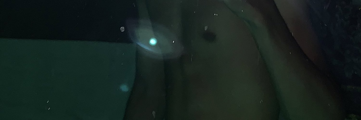 Sngeetod's banner