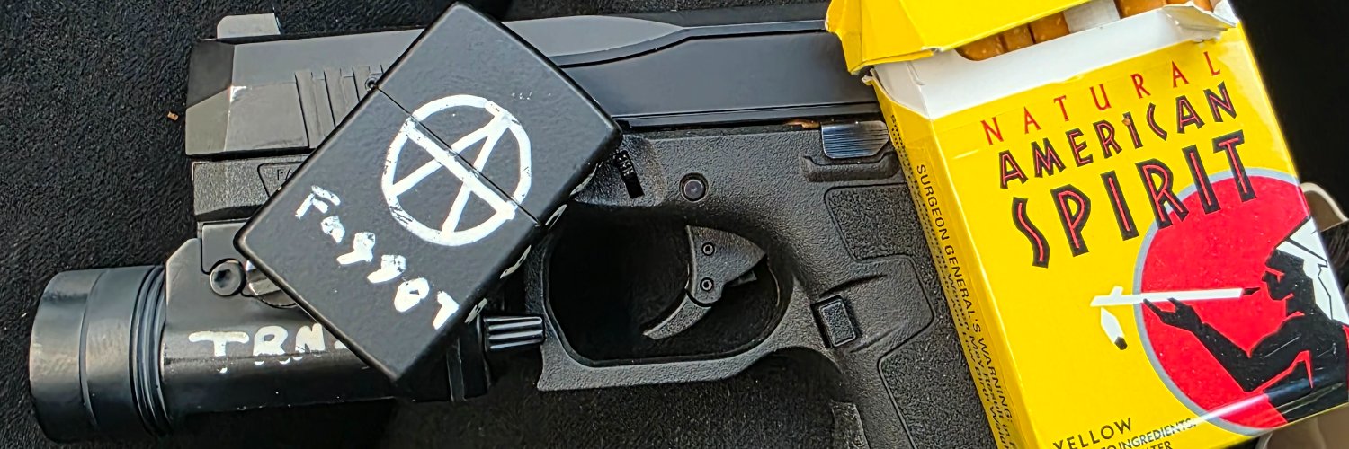 Just Ⓐ Fox 🏳️‍⚧️🏴's banner