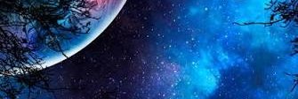 Marina's banner