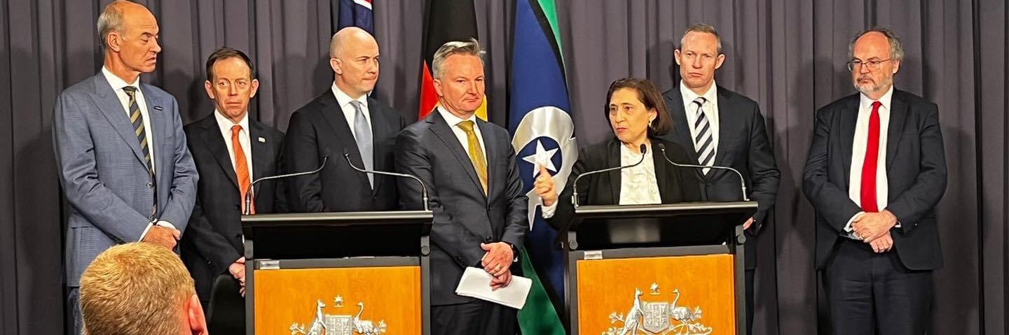 Lily D'Ambrosio MP's banner