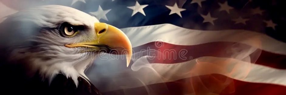 Dan Scavino's banner