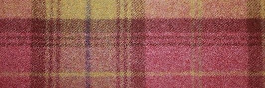 lesbian's banner