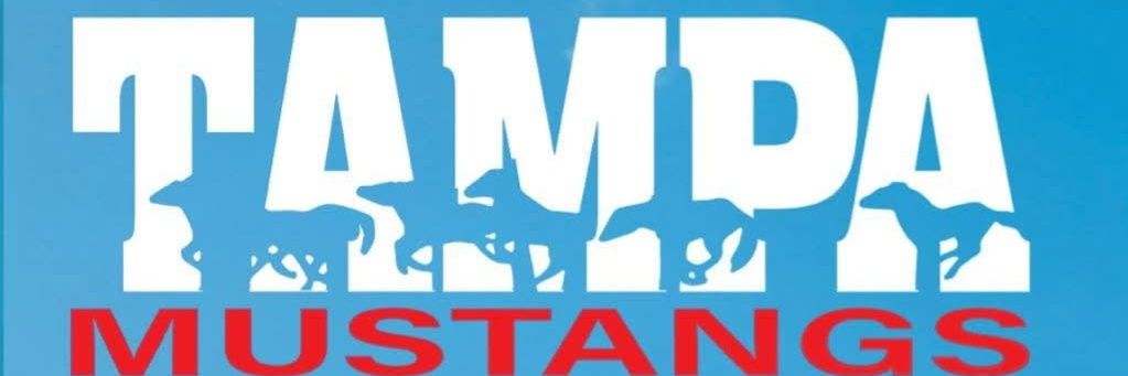 Kaytie Jones's banner