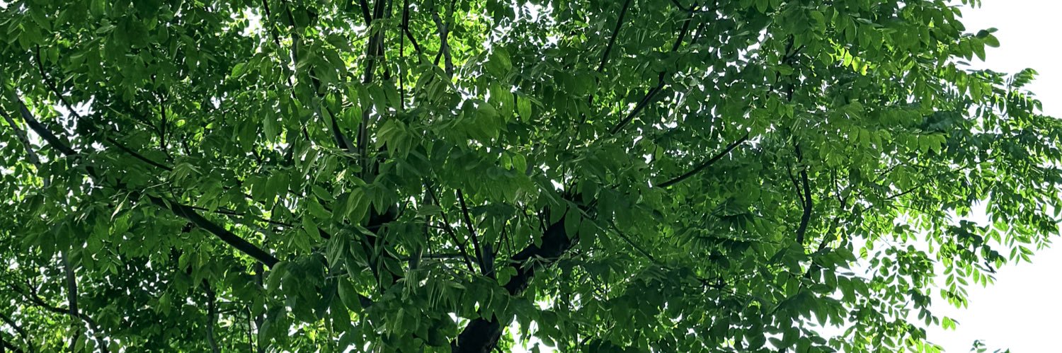 一点's banner