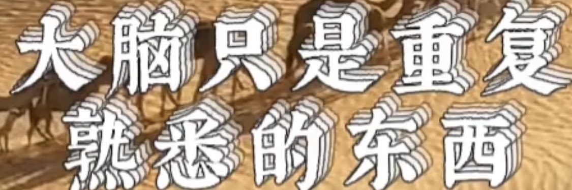 了悟's banner