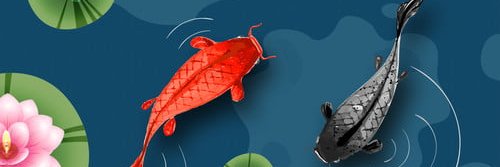 鯉のキング's banner