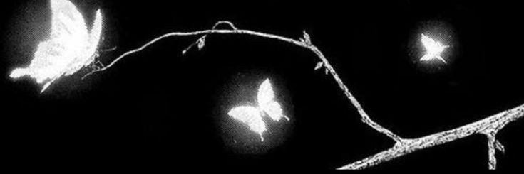 reiki's banner