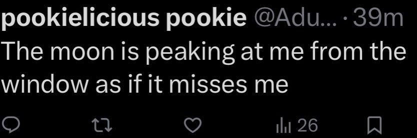 pookie fairy's banner