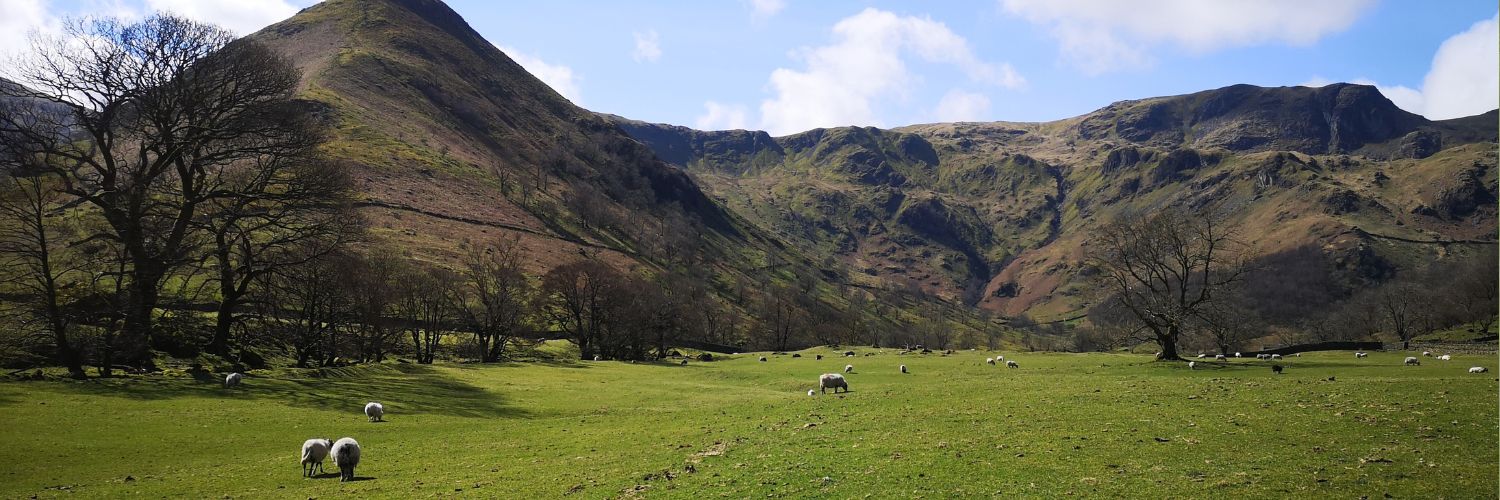 Lake District's banner