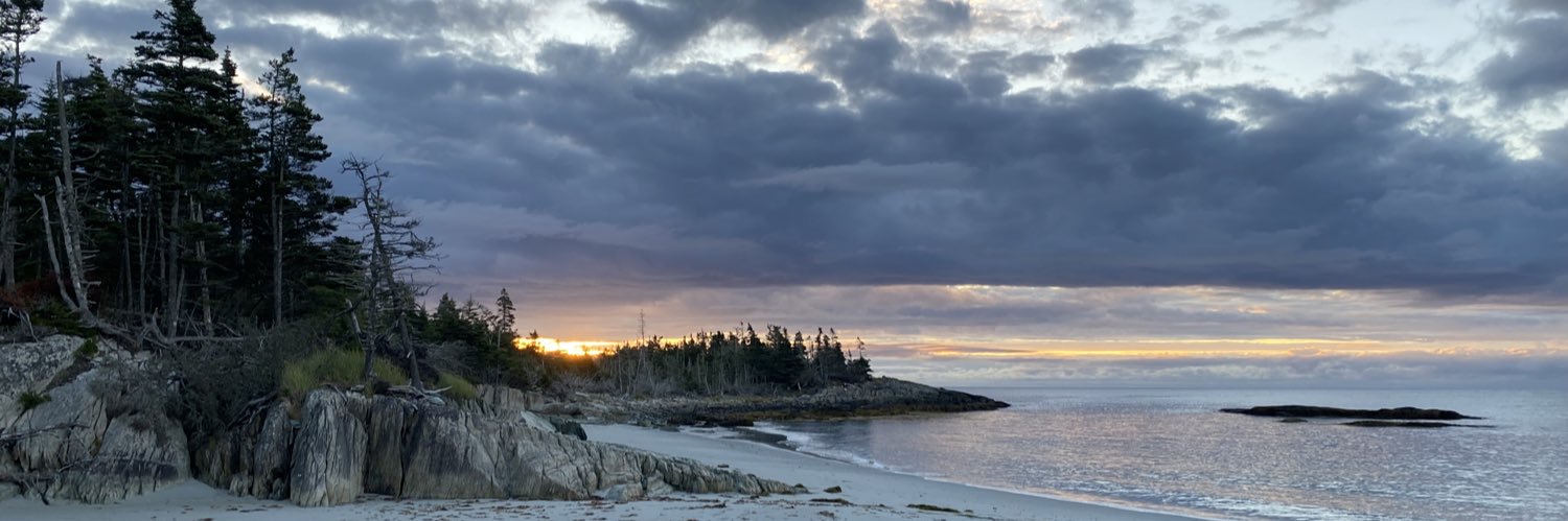 Marc Miller ᐅᑭᒫᐃᐧᐅᓃᐸᐄᐧᐤᐃᔨᐣ Mikotsikaa's banner