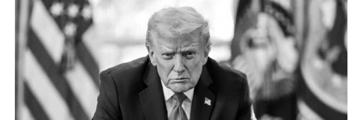 American Nightmare 🇺🇸's banner