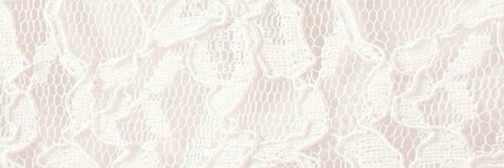 bunni ₍ᐢ..ᐢ₎♡'s banner