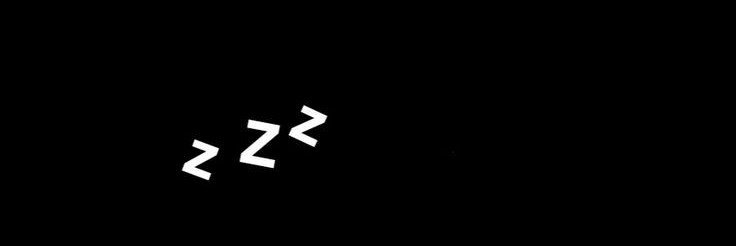 ♡🪽🐝|🐯's banner