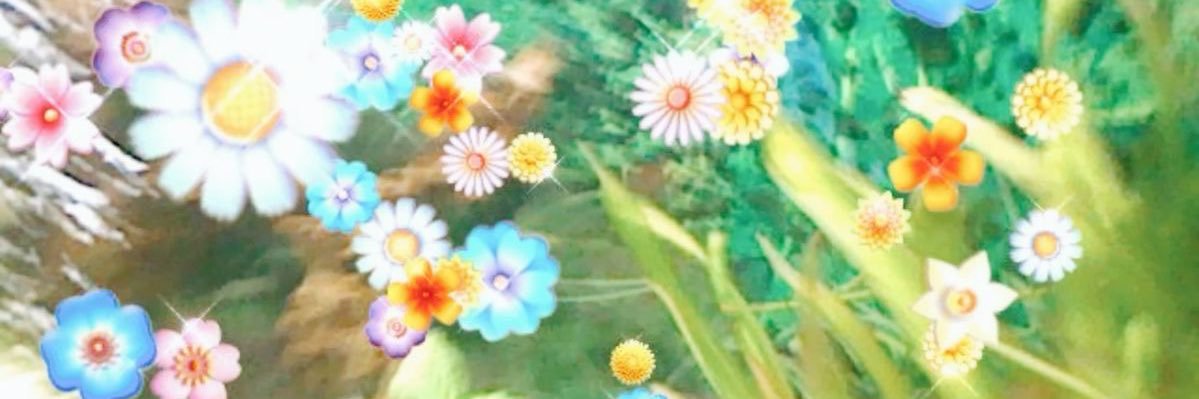 gia's banner