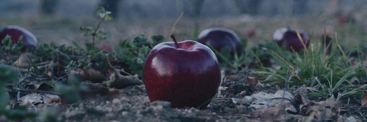 yves stuns • YVES DAY🍎's banner