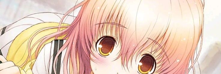 elibri's banner