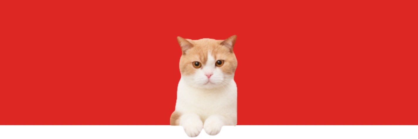 ほけんの窓口's banner