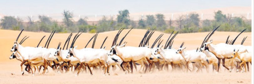 جاسم / بوعبدالله 🇶🇦's banner