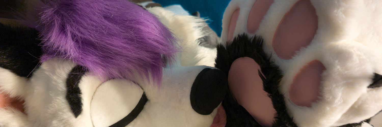 Lavy Paws's banner