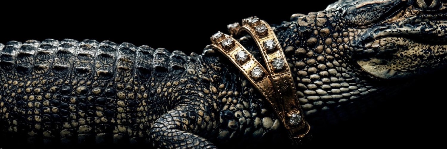 𝒜𝓇𝒾𝓎ℴ𝓃𝒸ℯ́ 🐊's banner