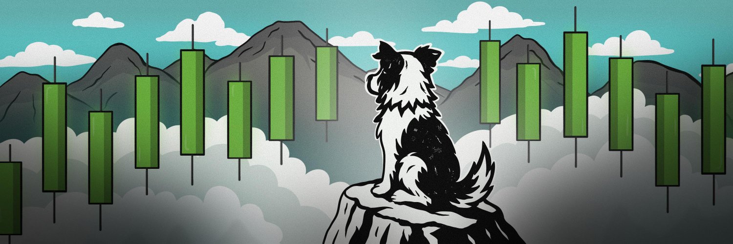 Woofi's banner