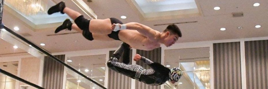 佐藤維(みちのくプロレス)'s banner
