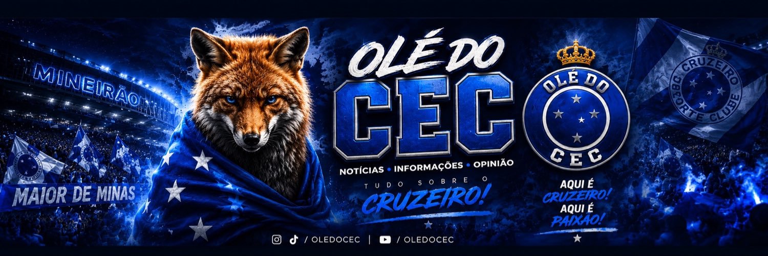 Olé do Cruzeiro #ForaPedrinho's banner