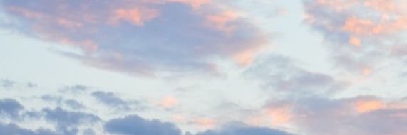 almondcanoo🍅's banner