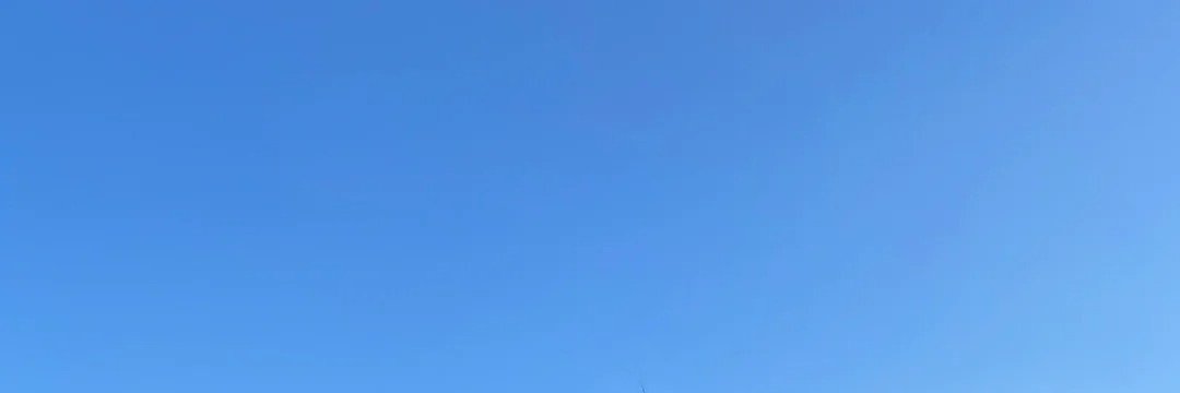 大荔枝's banner