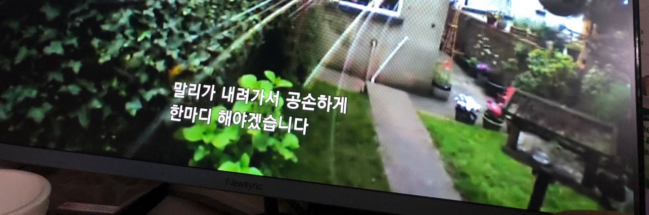 납작이에요🍙's banner