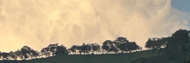 LATINA's banner