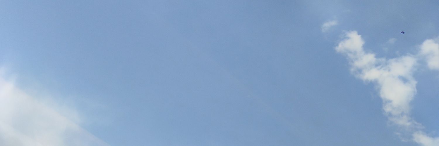 达达's banner