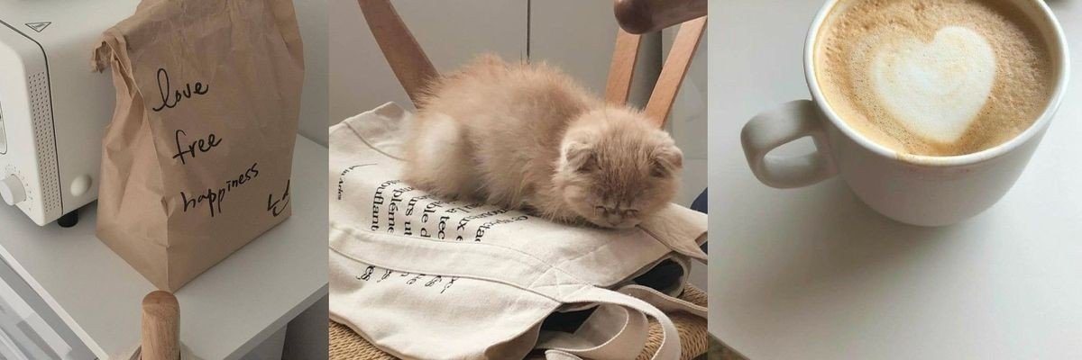 ᴜᴍᴀ ɴᴏʀᴛʜ's banner