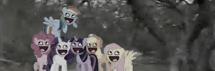 Ｌｅｅ 🌙's banner